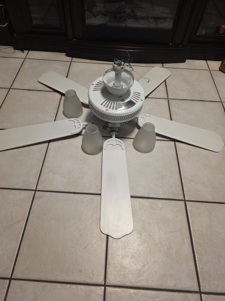 White Cealing Fan