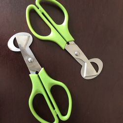 Quaile Eggs Cutting Tool