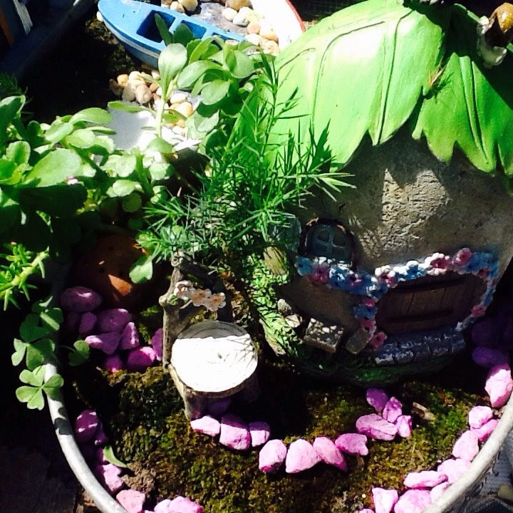 Miniature Fairy Garden...Live Moss And Plants