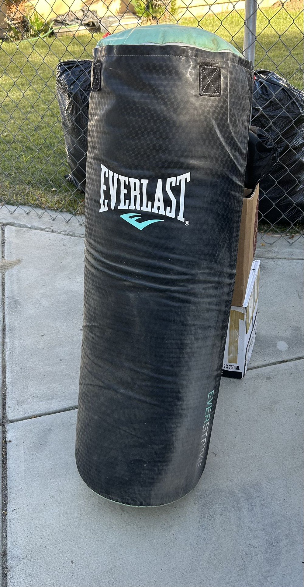 Everlast Punching Bag 