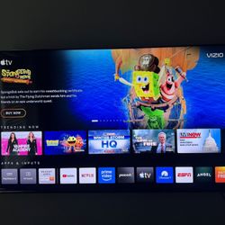 Vizio 65-Inch 4K UHD LED Smart TV 