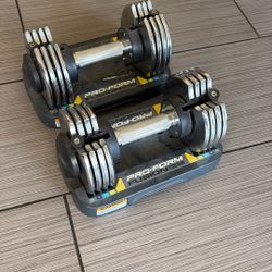 Adjusting Weight 25 Lb Each 