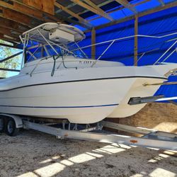 Boat Fiberglass 
