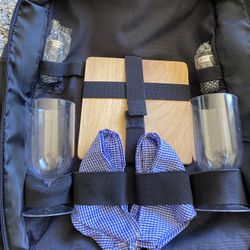 New Picnic Backpack for Two