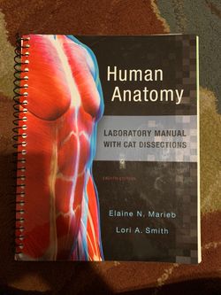 Anatomy lab manual
