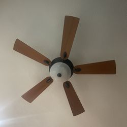 Hunter Ceiling Fan 