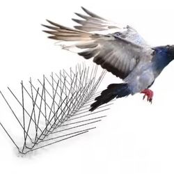 Bird X STS 50 Spikes. New In Box