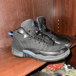 Jordan 12s