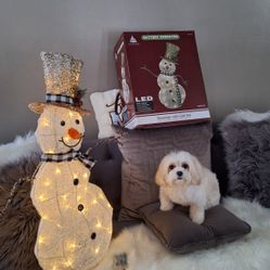 SNOW MAN  WITH  GOLD HAT BATTERY 🔋  OPERATED  AA$20