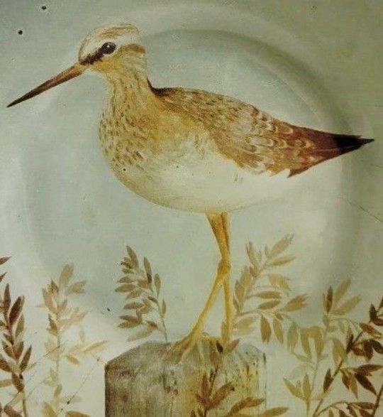 Set of 4 Sandpiper Bird Plates. Art. RARE. Gottschlag Signed. Shore birds. Beach Theme