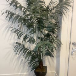 Fake Plant 