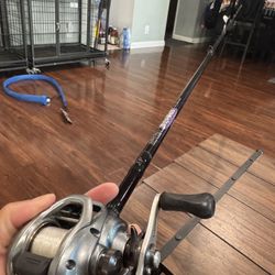 Bass Fishing Rod