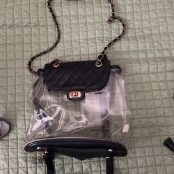 Clear Plastic Purse