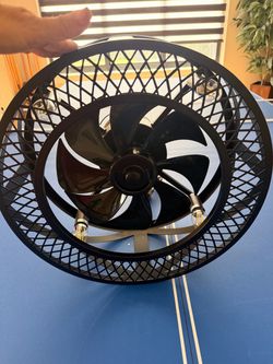 Fan with light