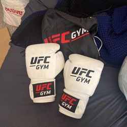 UFC Gym Boxing Gloves With Bag 