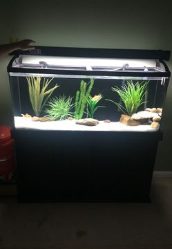 90 gallon Fish tank