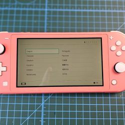 NINTENDO SWITCH LITE PINK