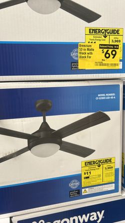 Ceiling fan