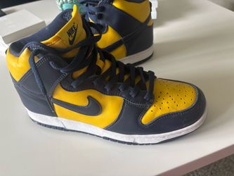Nike Michigan Wolverine Dunks