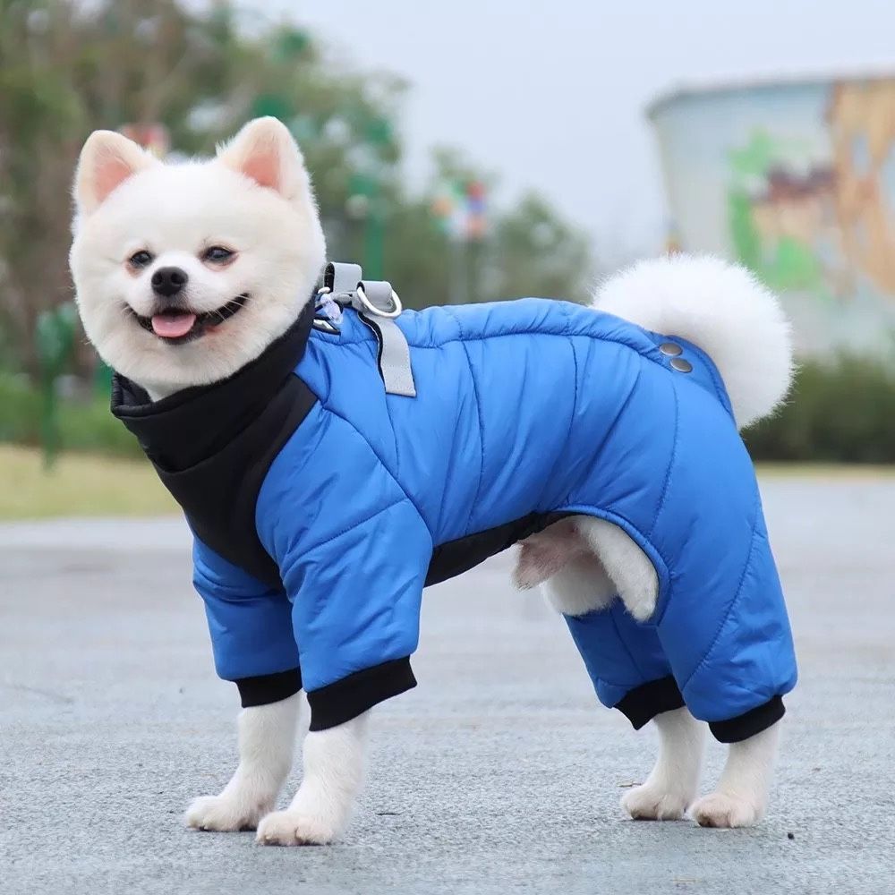 Small Dog Winter Jacket Blue