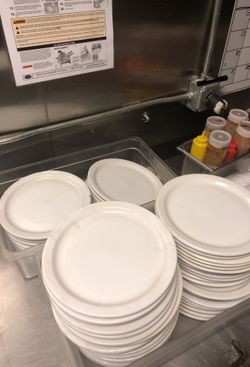 Commercial restaurant plates