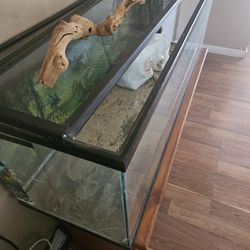 Reptile Tank And Stand 