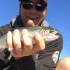 TrouT