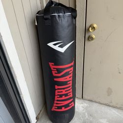 Everlast Boxing Bag
