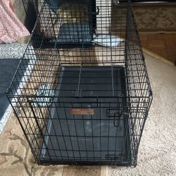 Medium Dog Training Kennel