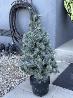 Mini Christmas Tree