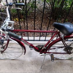 His & Hers Vintage Bikes 