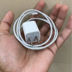iPhone Charger