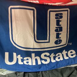 Utah State flag