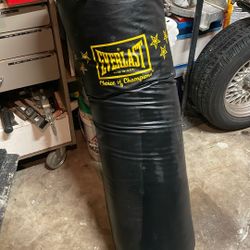 EVERLAST PUNCHING BAG 