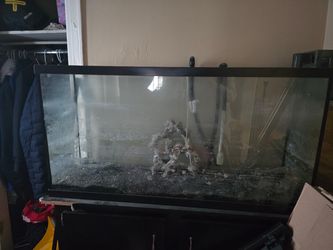 Fish tank 75 gallons