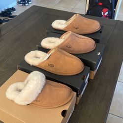 Ugg Slippers 