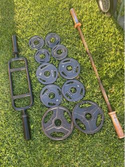OLYMPIC WEIGHTS WITH TRICEPS BAR AND RUSTY CURLS BAR 2x10,4x5 and 4x2.5 LBS $80 FIRM