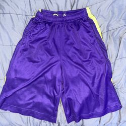 Men’s Purple/Green Nike Dri-Fit Shorts (Large)