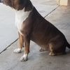 Frank