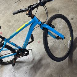 Raleigh Cadent 24 Bike (kids 7+)