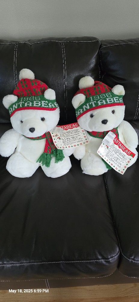 Santa Bears