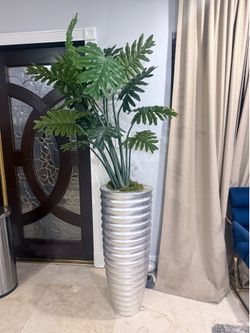 Plant decor