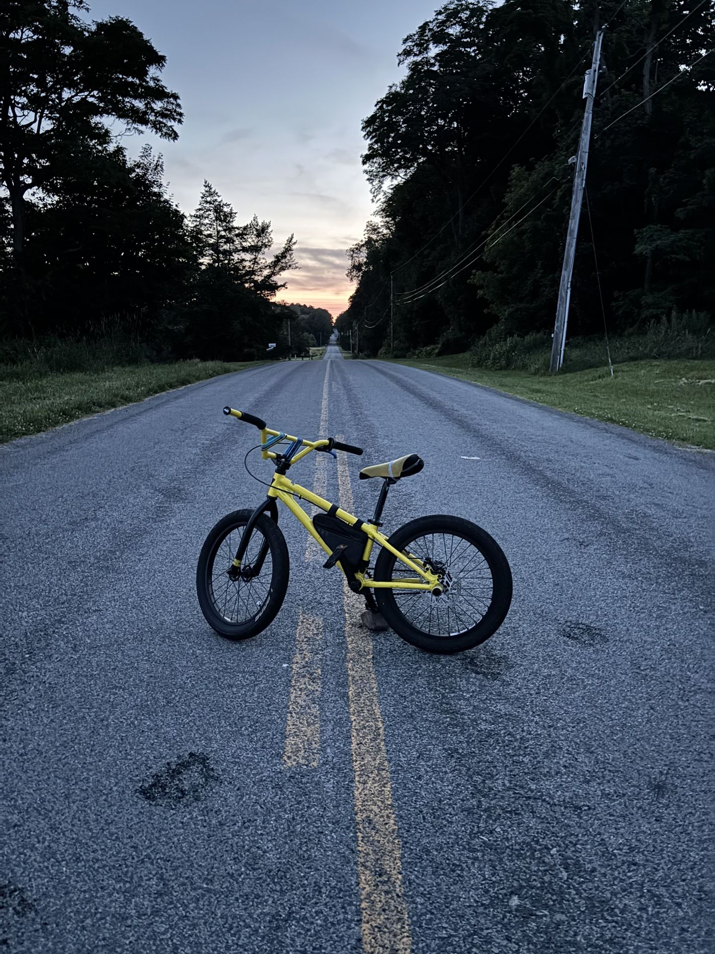Mafia Medusa 20 Inch