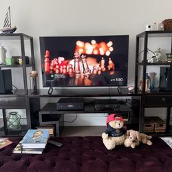 Entertainment Unit