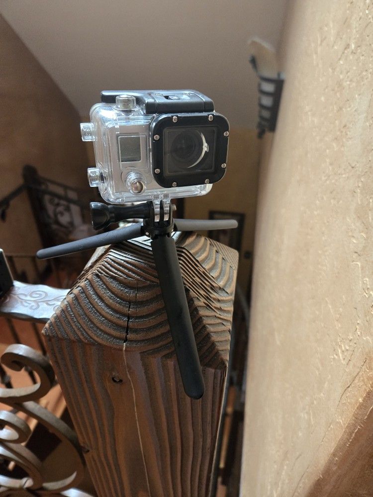 Two Go Pros