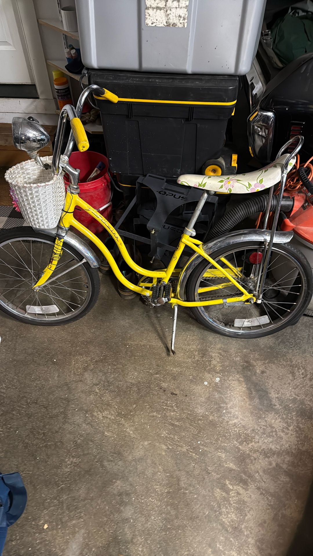 Schwinn Vintage Bike
