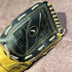 Baseball Glove