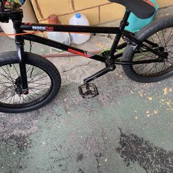 Mongoose