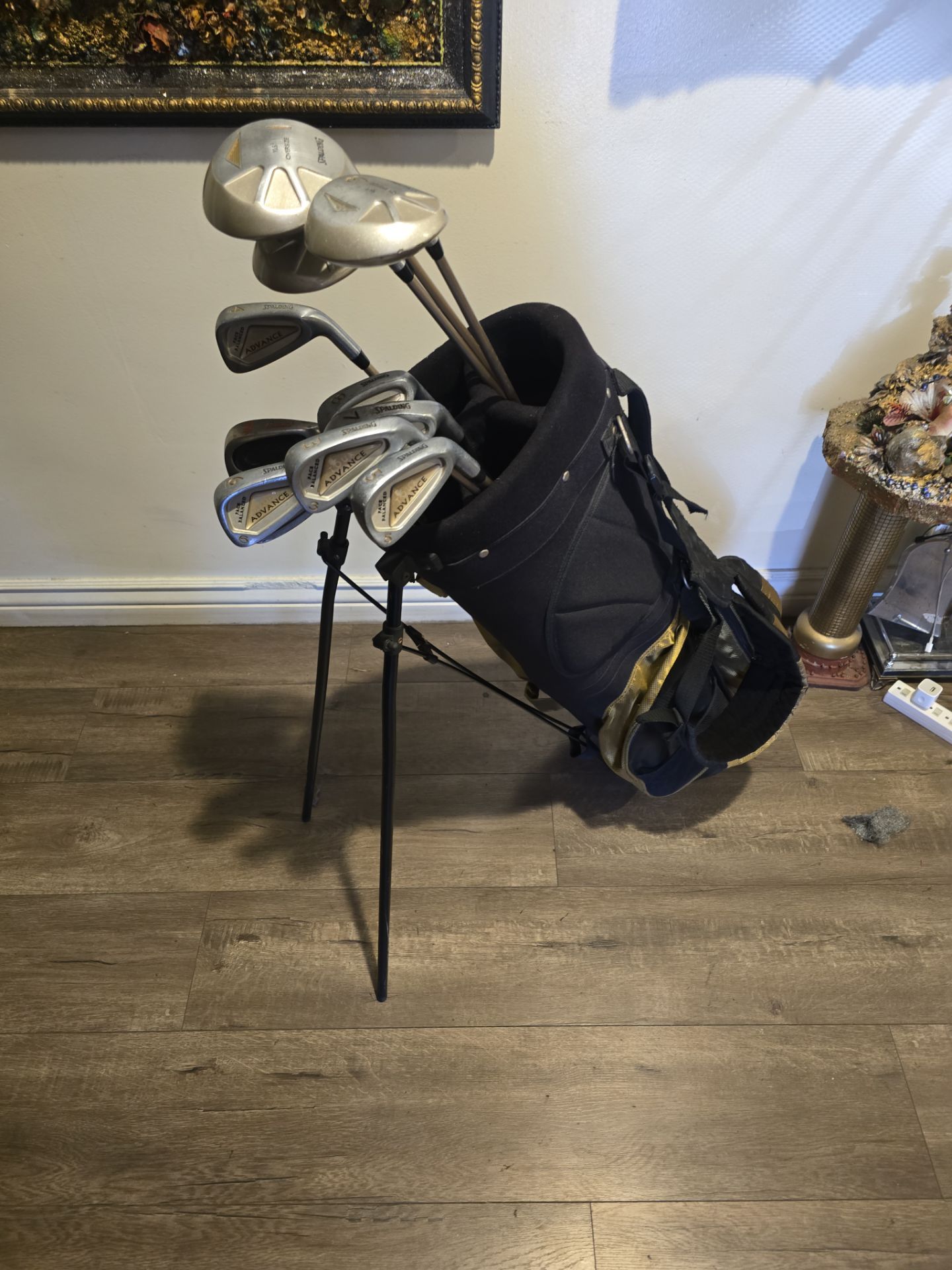 GOLF CLUBS WITH STANDBAG (11 CLUBS SET)