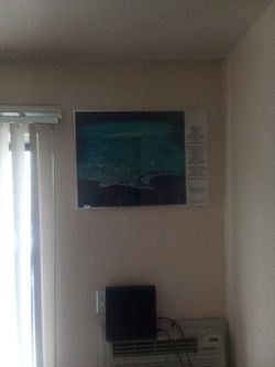 Framed National Geographic Poster